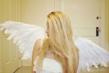 wings