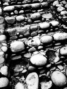12047723_10207654100540139_496588597_ntemp