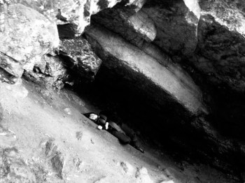 12087592_10207653960336634_253470584_n