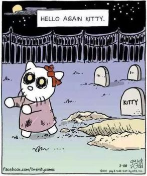 kitty