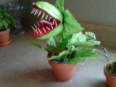 Man Eating Plant